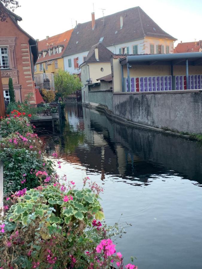 Smart Home Roma Mit Terrasse, Europapark, Rulantica 15Min Boofzheim Luaran gambar
